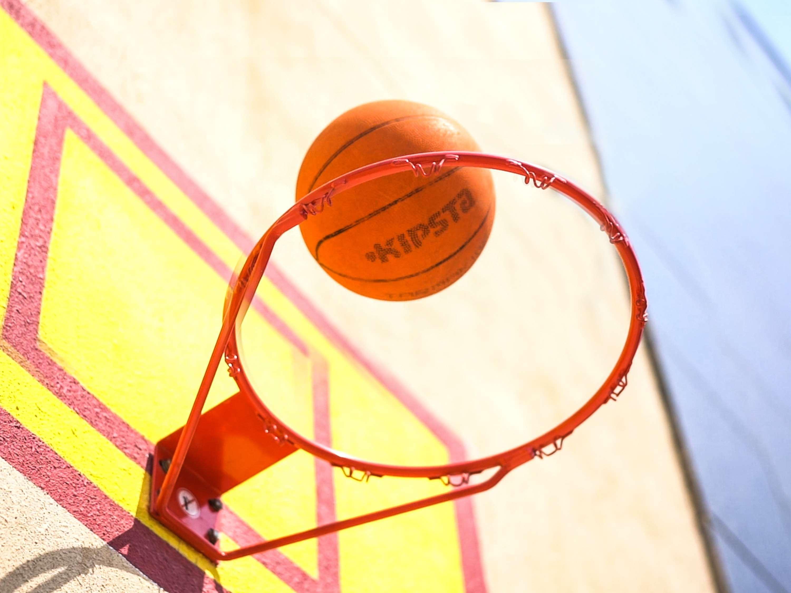 Novotel Chennai Sipcot Exterior photo A basketball entering a hoop