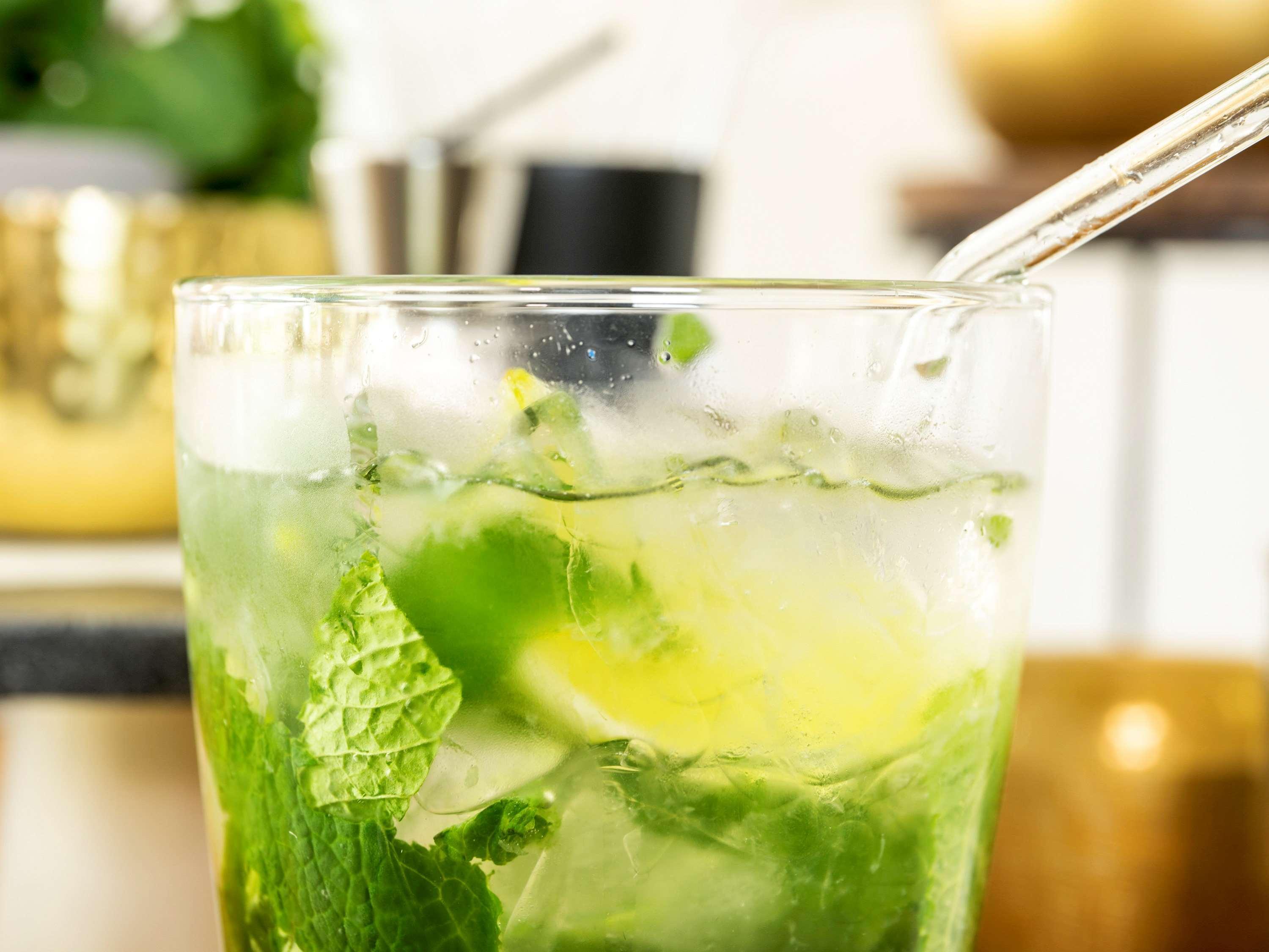 Novotel Chennai Sipcot Exterior photo A mojito