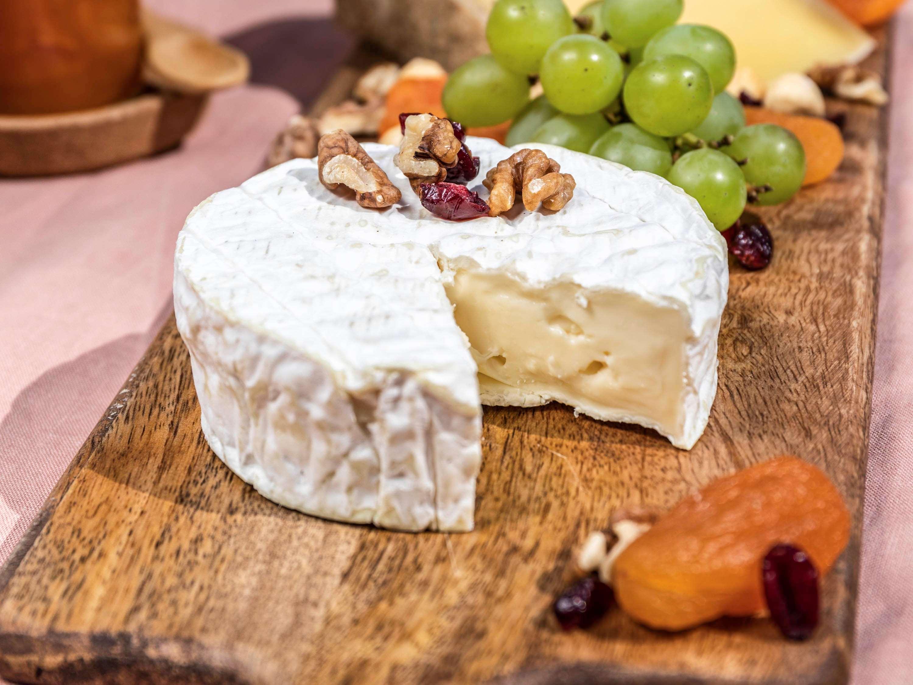 Novotel Chennai Sipcot Exterior photo Camembert cheese
