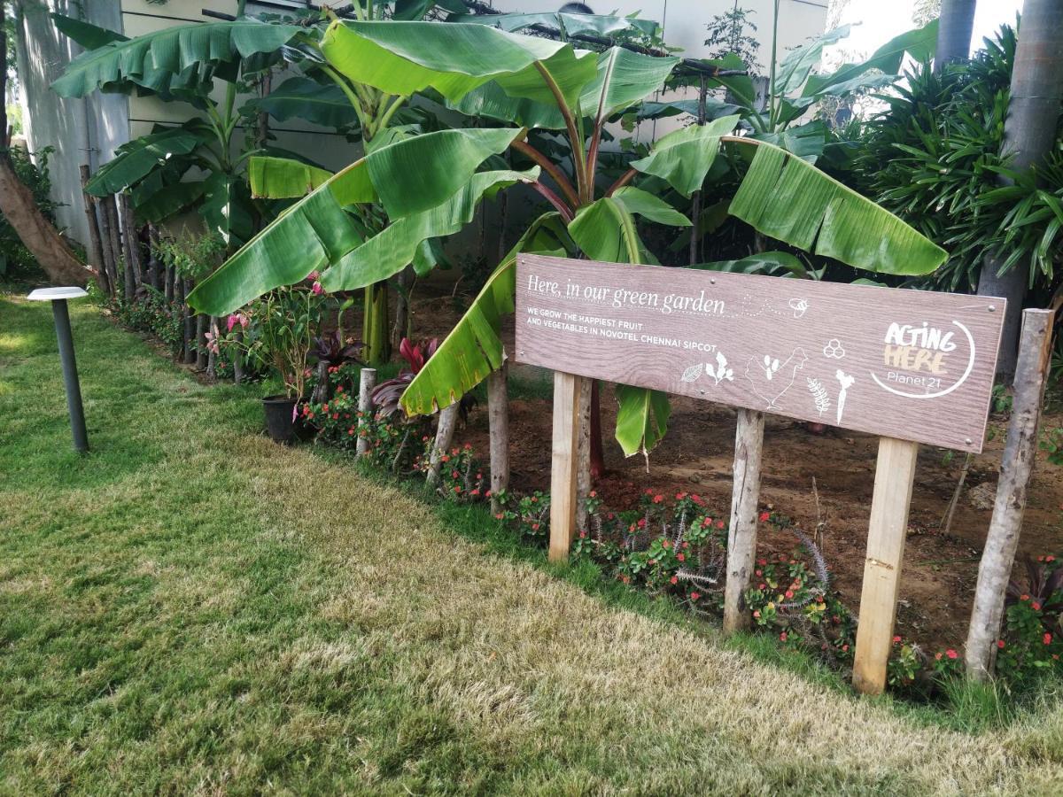 Novotel Chennai Sipcot Exterior photo The Edible Garden at the National Gallery Singapore